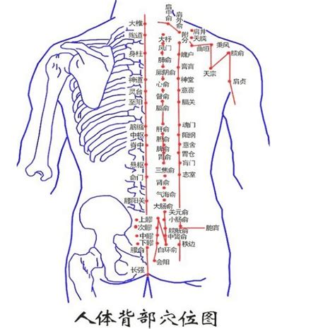 背上很多痣|背部有痣图解大全 背部有痣的人看命运